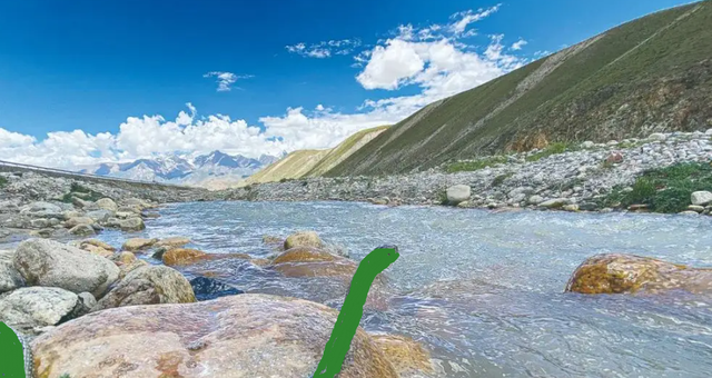 颠覆认知？青藏高原也有蛇，靠“泡”温泉定居海拔4000米高原-2.jpg