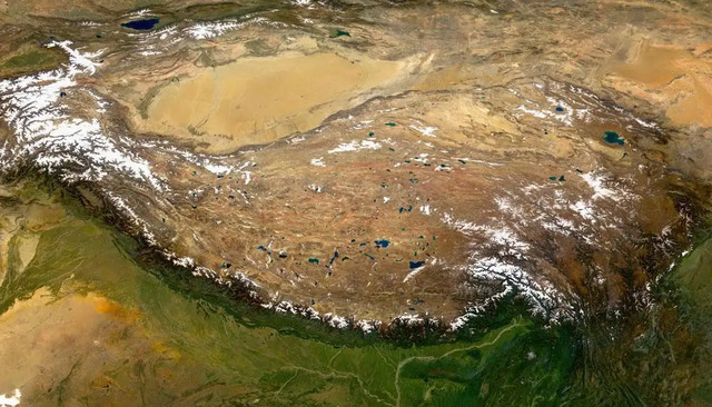 颠覆认知？青藏高原也有蛇，靠“泡”温泉定居海拔4000米高原-4.jpg