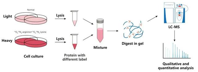 几种不同蛋白质组学主流技术的介绍-2.jpg