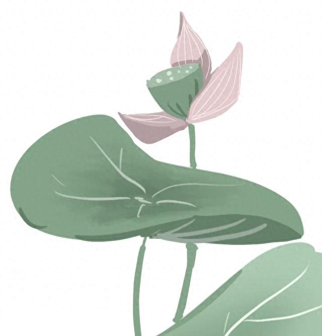 金花和小杨的第70篇诗画：想念夏荷-1.jpg
