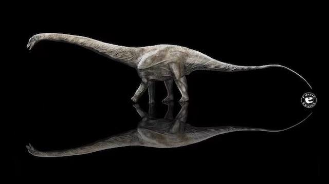 恐龙的简史-10.jpg