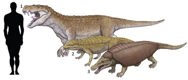 史前恐龙的15个不为人知的神秘真相，其中几个颠覆了人类认知-3.jpg