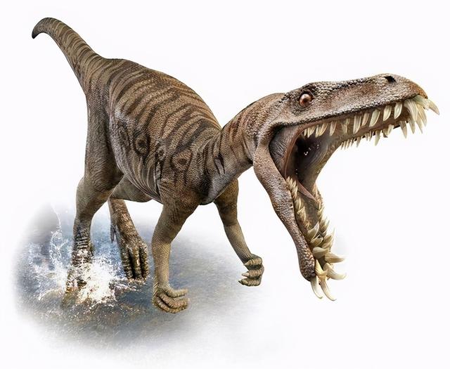 史前恐龙的15个不为人知的神秘真相，其中几个颠覆了人类认知-5.jpg