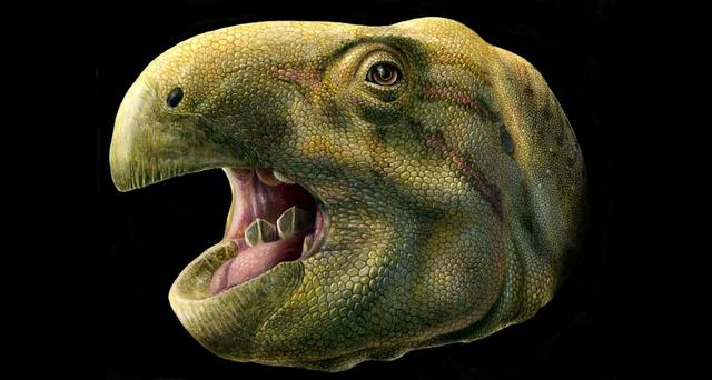史前恐龙的15个不为人知的神秘真相，其中几个颠覆了人类认知-7.jpg