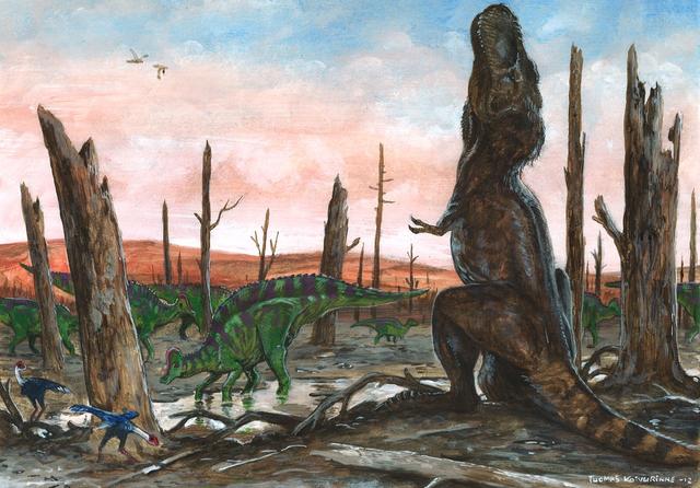 史前恐龙的15个不为人知的神秘真相，其中几个颠覆了人类认知-11.jpg
