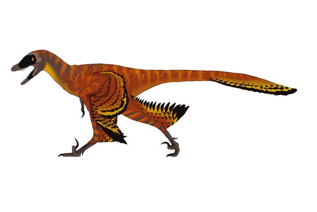 史前恐龙的15个不为人知的神秘真相，其中几个颠覆了人类认知-14.jpg