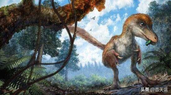 史前恐龙的十大谜团-2.jpg