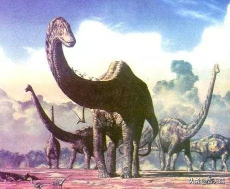史前恐龙的十大谜团-5.jpg