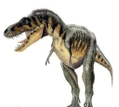 史前比霸王龙更厉害的恐龙都有哪些？那些你不了解的史前霸主-4.jpg