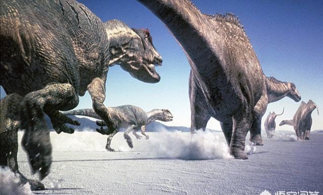 史前比霸王龙更厉害的恐龙都有哪些？那些你不了解的史前霸主-7.jpg
