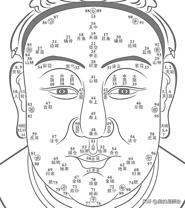 不知道如何抓住人物特征？不妨先了解一下容貌的“权重”是什么-1.jpg