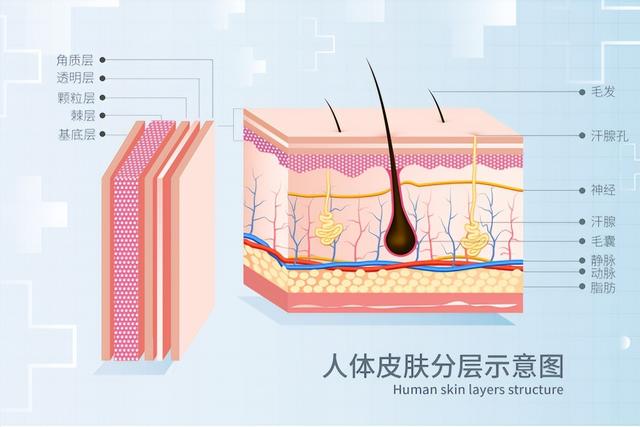 女生隐私处颜色，与性生活频率有关？0经验姑娘颜色深怎么解释？-2.jpg