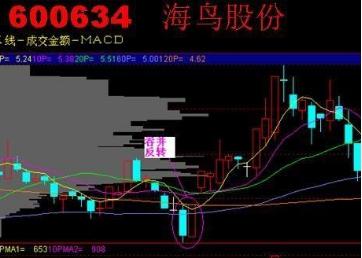 一位炒股天才少年悟出的短线追涨法，短短十招，招招精华，看懂大牛股到手擒来-2.jpg