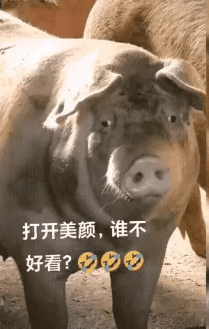 一直好奇美颜的效果有多大